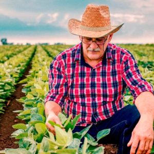 Agro